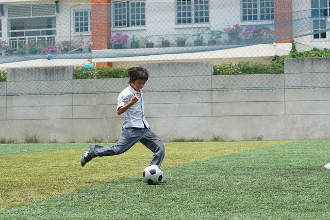 Traill International School 3 Traill International School4